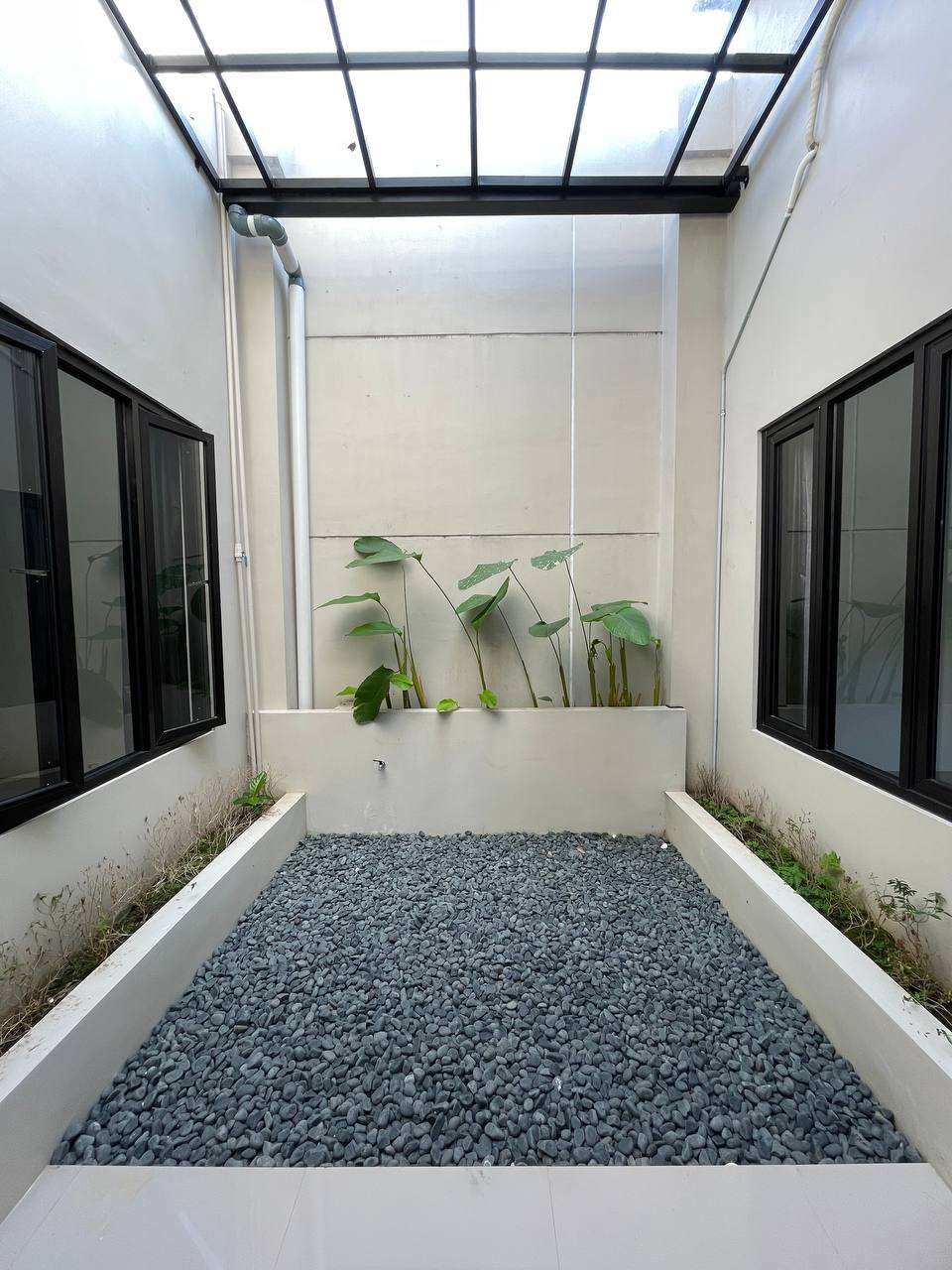 photo_2_2025-05-31_12-17-19