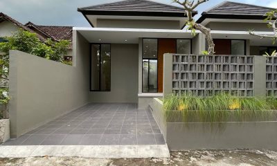 photo_9_2025-06-29_00-28-26-1