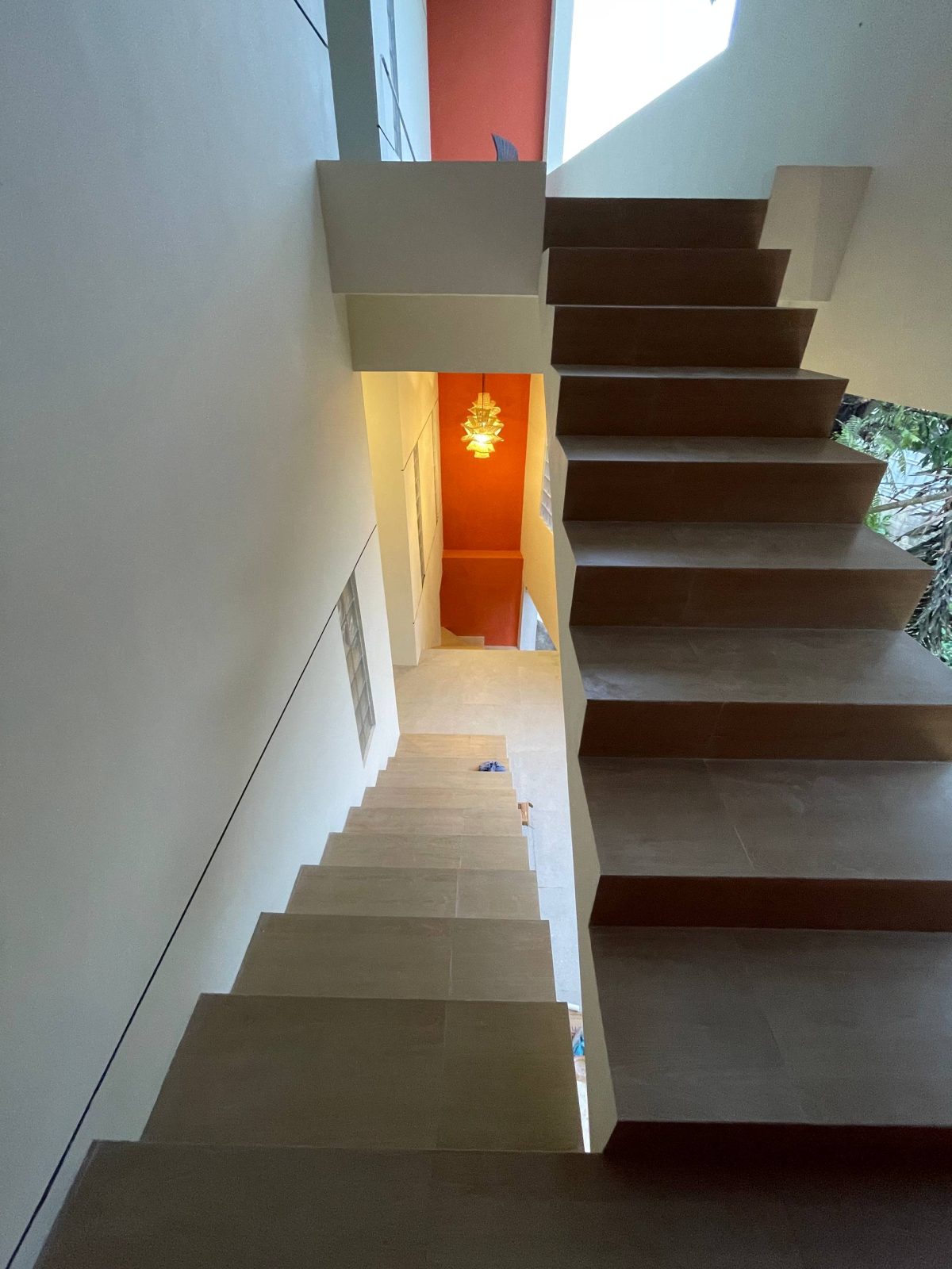 photo_5_2025-11-06_02-19-30