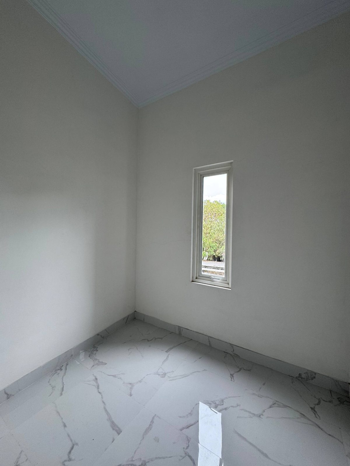 photo_19_2026-02-07_00-22-01