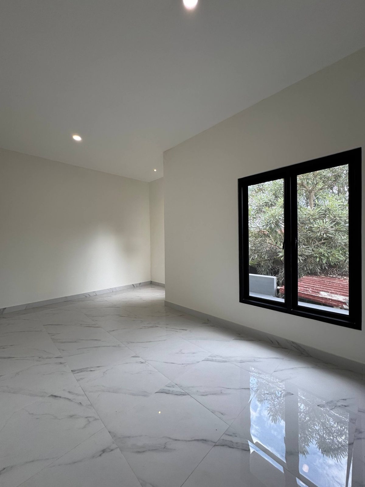 photo_21_2026-02-12_10-46-41