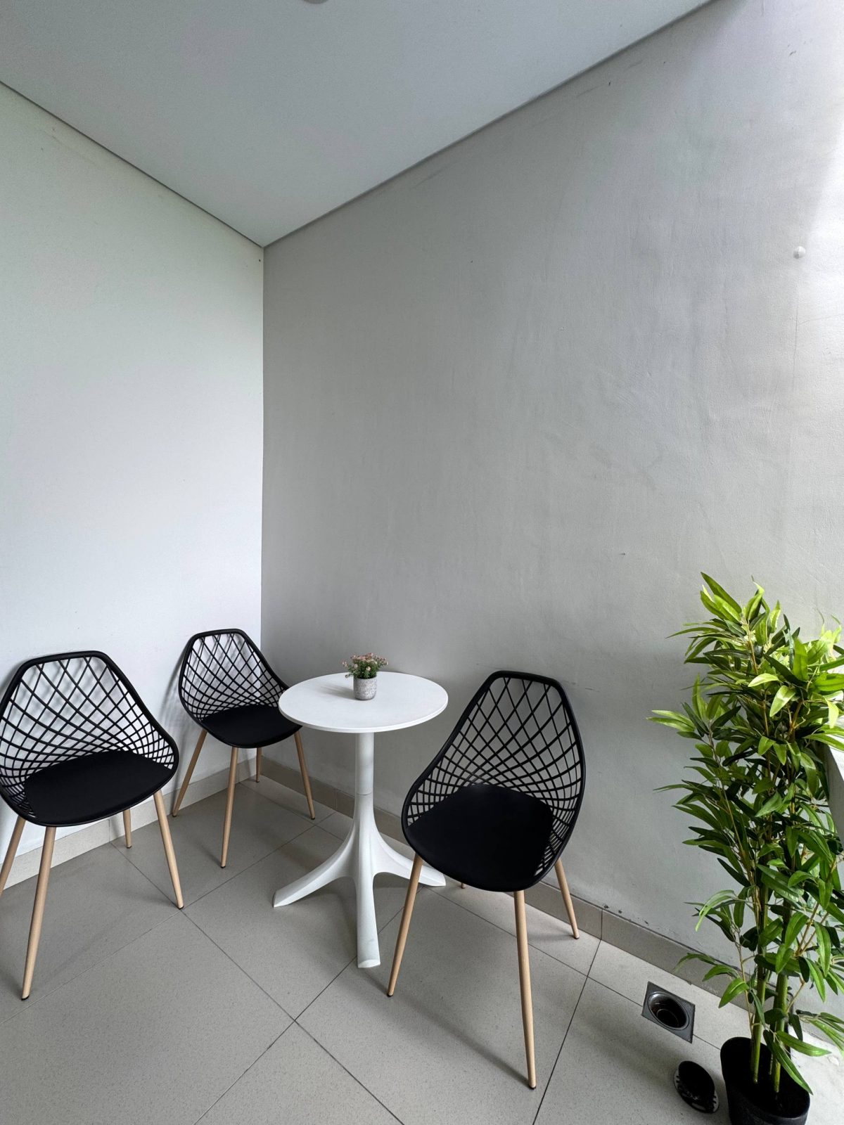 photo_27_2026-02-10_11-01-53