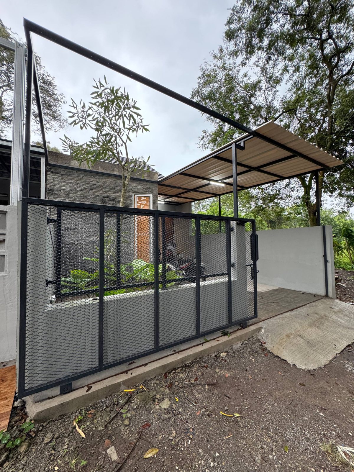 photo_3_2026-02-23_13-53-27