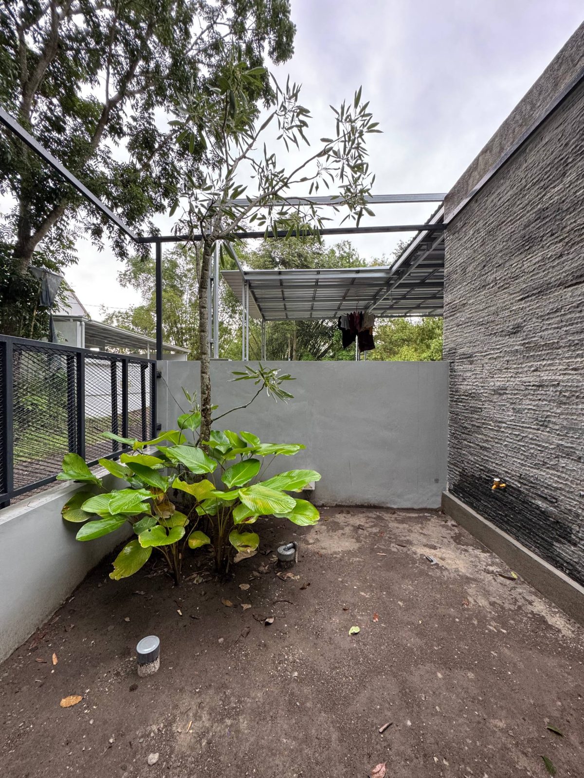 photo_5_2026-02-23_13-53-27