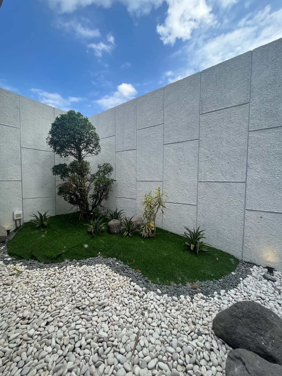 WhatsApp-Image-2026-03-17-at-20.52.36-2