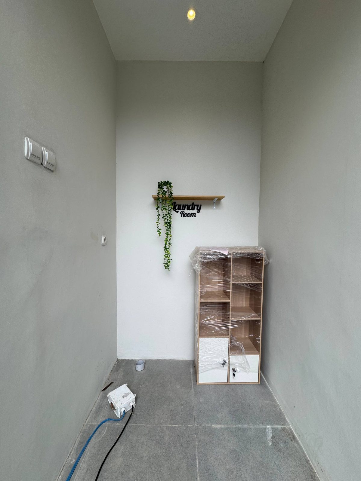 photo_11_2026-03-29_21-35-17