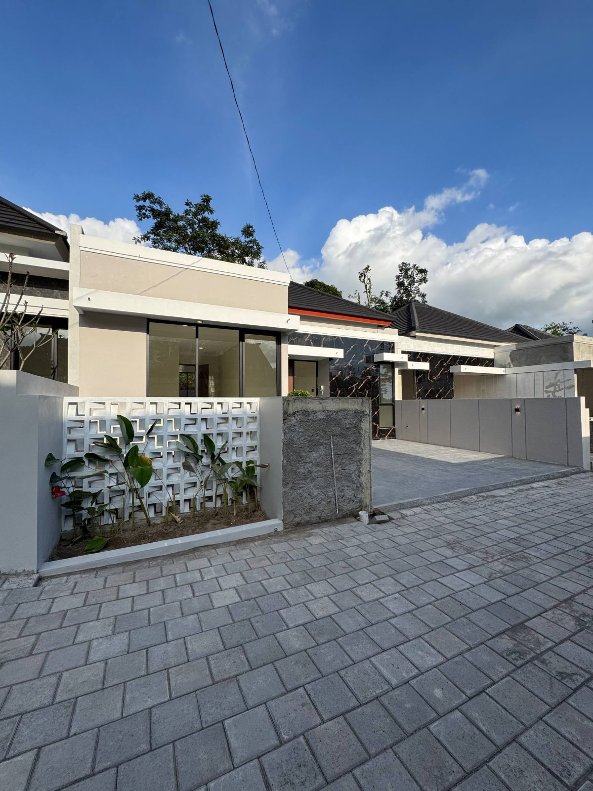 photo_4_2026-03-23_11-35-11