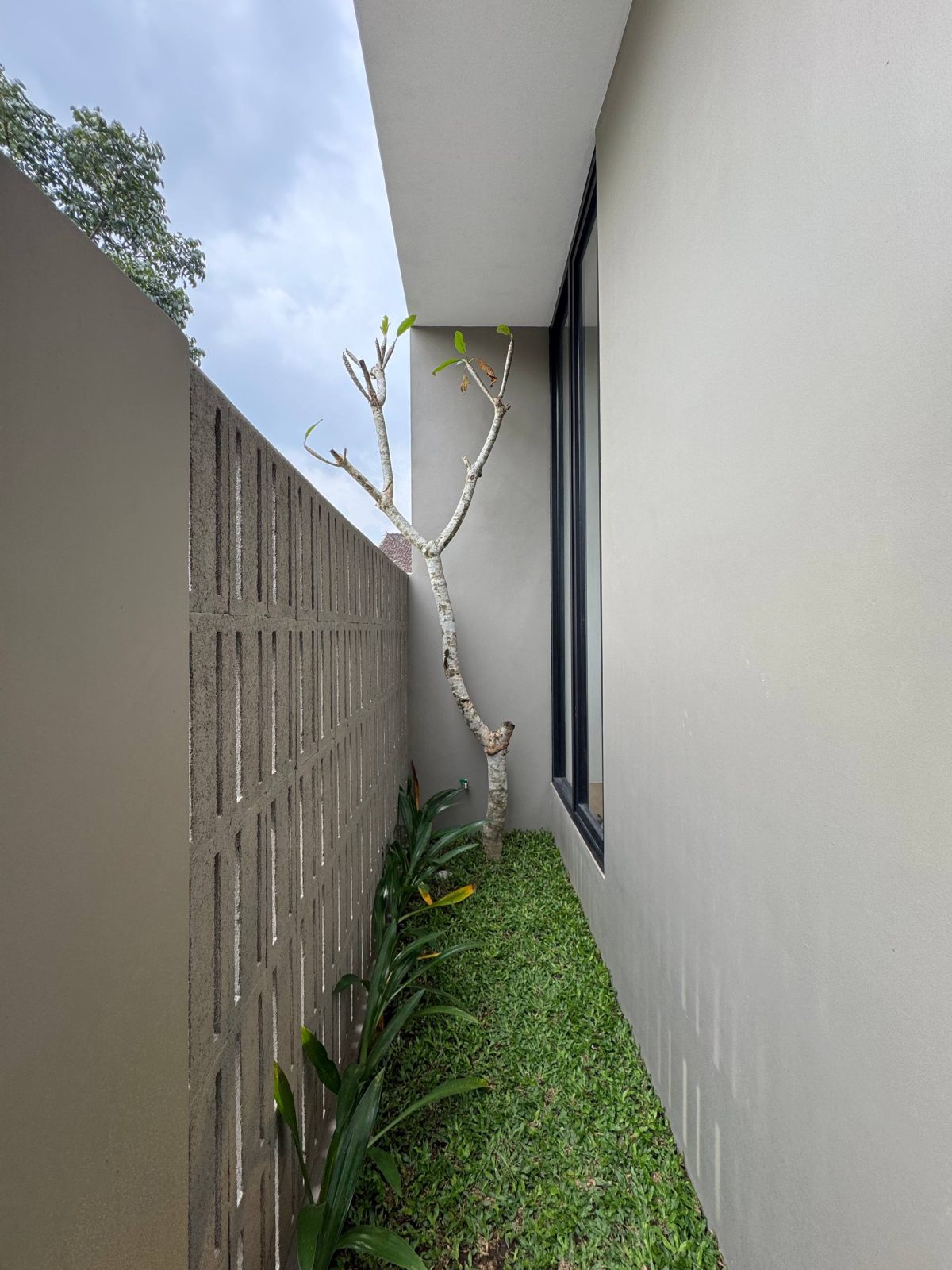 photo_5_2026-03-31_23-40-52