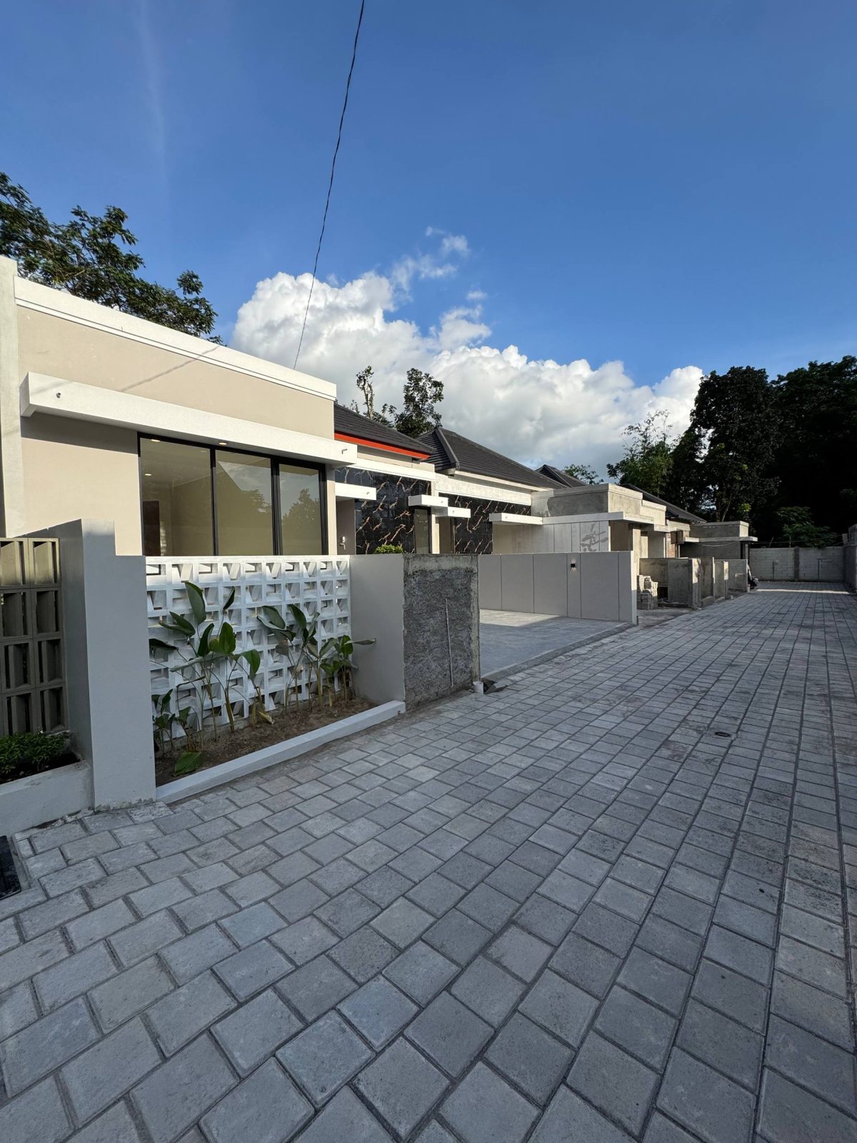 photo_6_2026-03-23_11-35-11