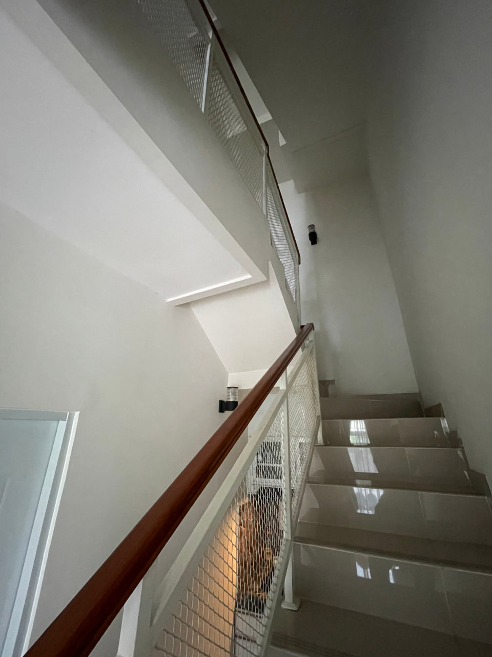 photo_8_2026-03-29_21-41-22