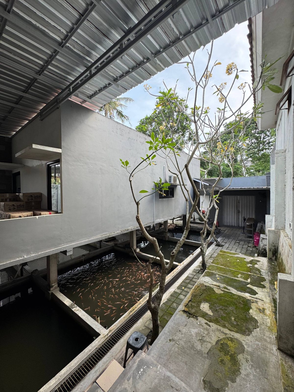 photo_11_2026-04-25_22-50-24