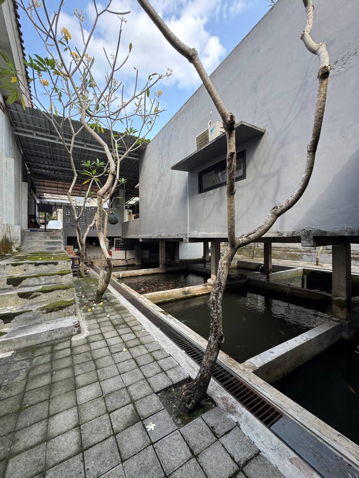 photo_15_2026-04-25_22-50-24-1