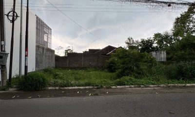 photo_1_2026-04-12_08-48-44