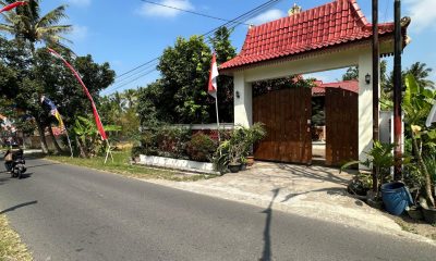 photo_5_2026-04-04_00-28-14