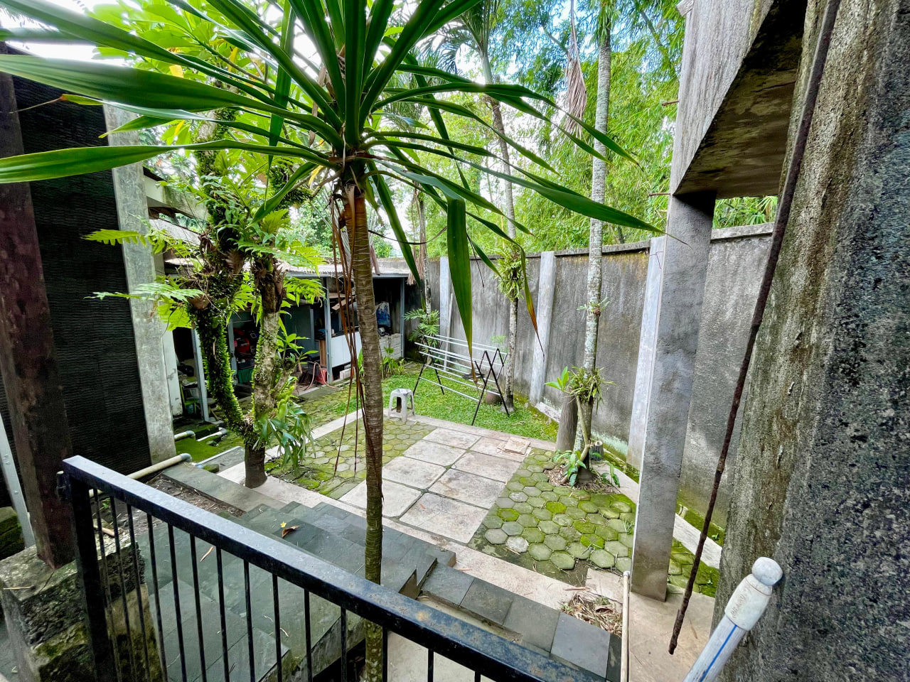 photo_9_2026-04-25_23-05-31